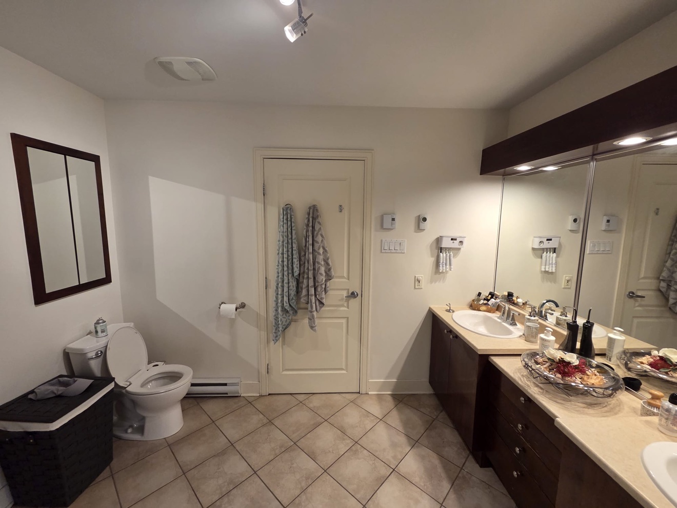Toilet area before
